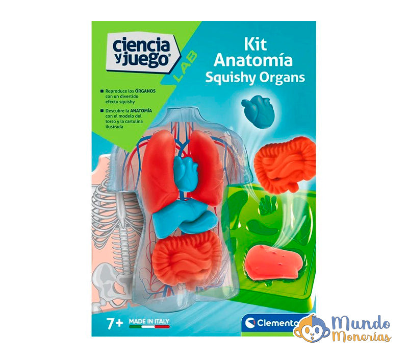 KIT ANATOMIA - SQUISHY ORGANOS