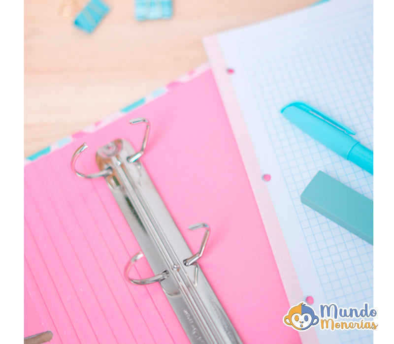 CARPETA 4 ANILLAS AMELIE CLASSIC ROSA